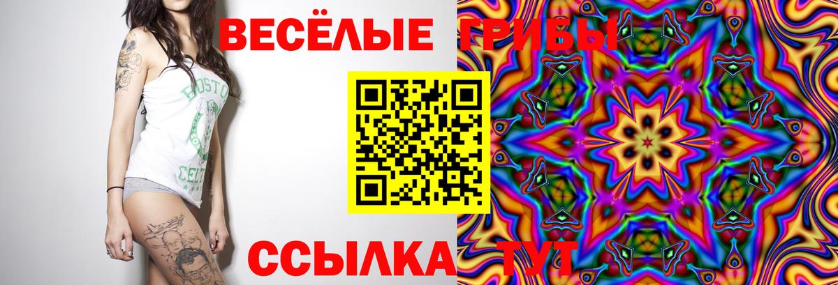 Псилоцибиновые грибы Cubensis Дмитров